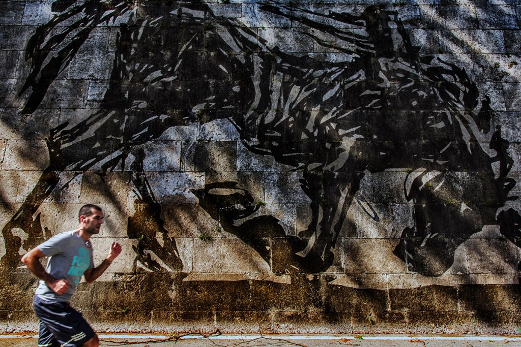 Guardando il Lungotevere