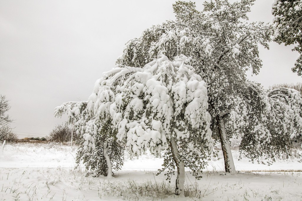 Neve a Roma&nbsp;2018
