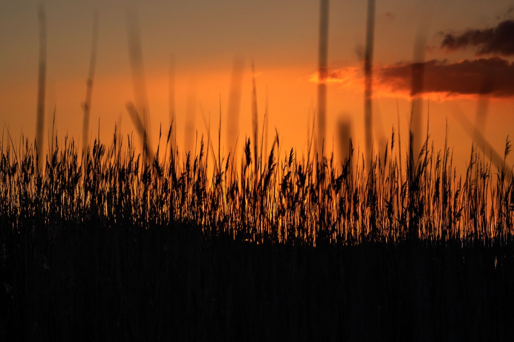 La laguna di&nbsp;Orbetello