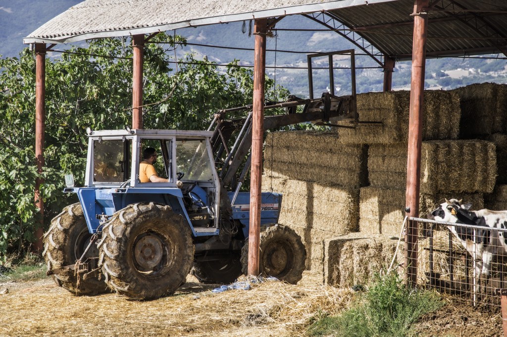Trattore blu con un uomo al volante mentre lavora accanto a balle di fieno in un'area agricola.
