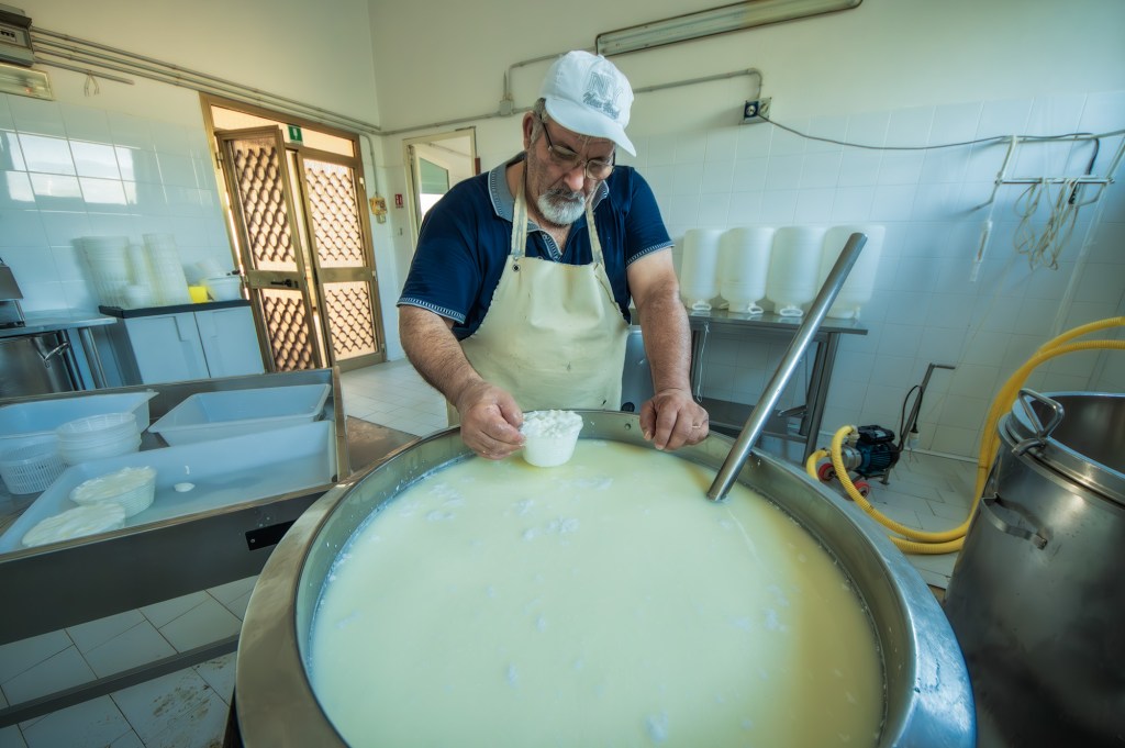 Un casaro sta prelevando la ricotta da un grande contenitore di siero di latte in un laboratorio di produzione casearia.