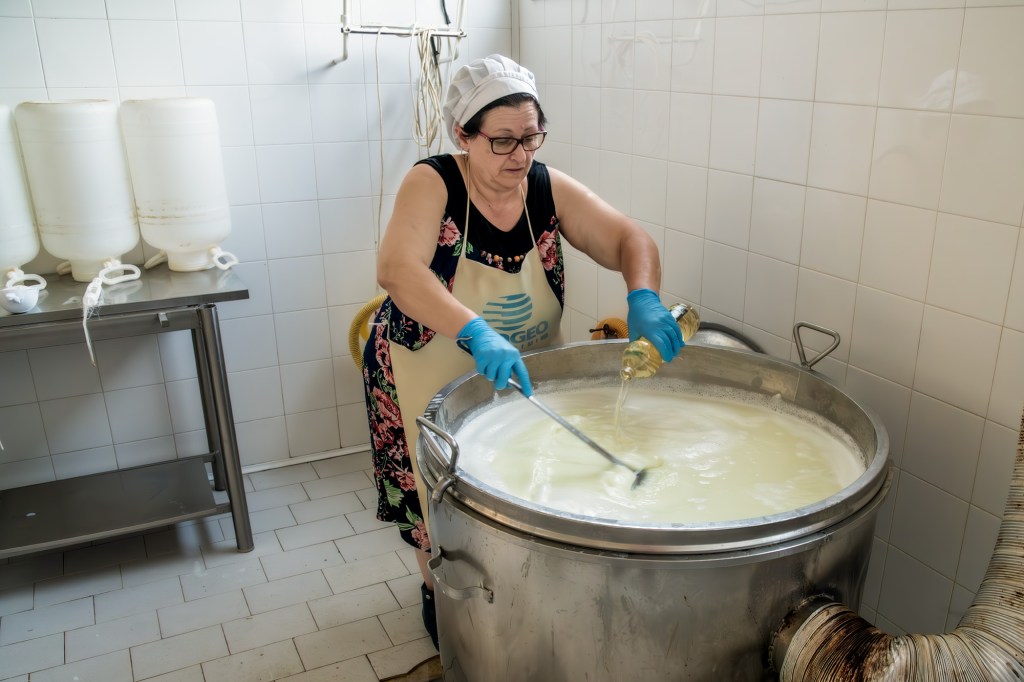 Una donna mescola il latte in una grande pentola, indossando guanti blu e un grembiule, in un ambiente di lavorazione del formaggio.