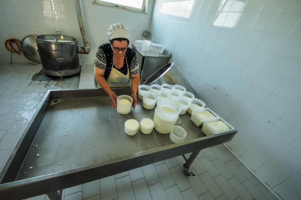 Donna che prepara formaggio in un caseificio, con contenitori e attrezzature in acciaio inox.
