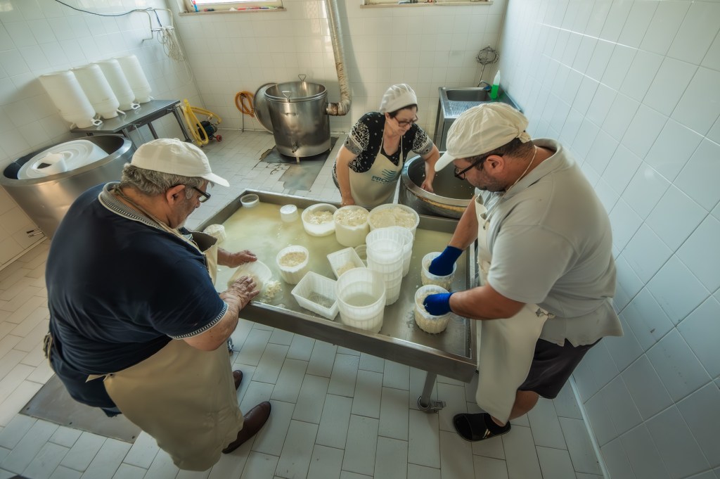Tre persone che lavorano in una cucina, impegnate nella produzione di formaggio. Due uomini e una donna sono intenti a maneggiare dei contenitori con ricotta su un tavolo di lavoro, con attrezzature per la lavorazione del latte sullo sfondo.