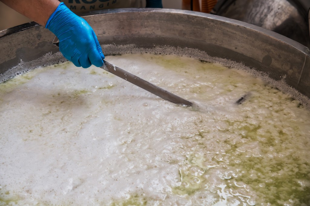 Un operatore con guanti blu mescola una grande pentola contenente un liquido schiumoso e verdognolo nella produzione casearia.