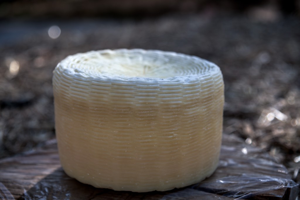 Un formaggio tondo su un piano di legno, con una superficie liscia e con un design intrecciato all'esterno.