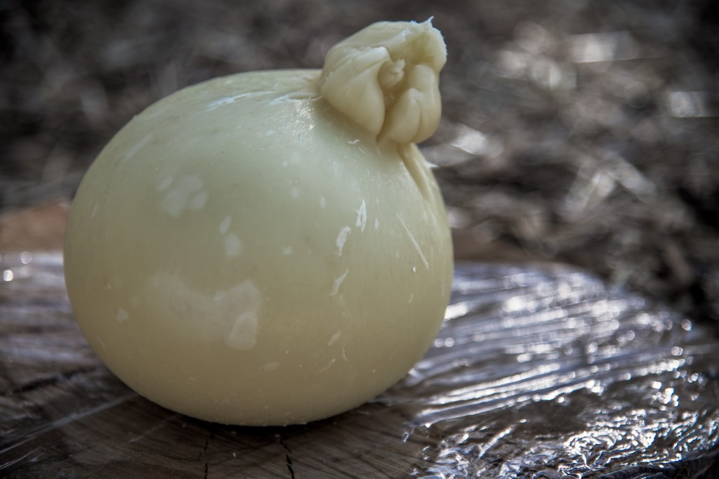 Forma di formaggio tondo su un tagliere di legno