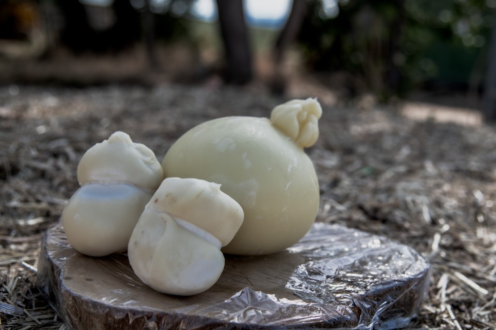 Tre forme di mozzarella su un tagliere di legno, con sfondo naturale.